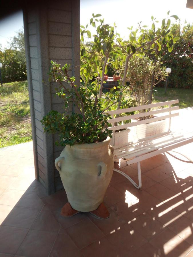 Villa Antonietta Pedara Exterior foto
